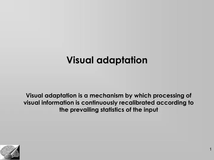 visual adaptation