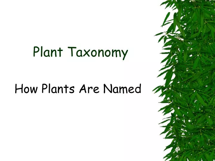 plant taxonomy