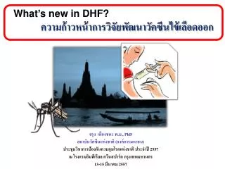 what s new in dhf