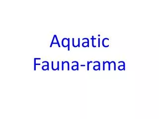 Aquatic Fauna-rama