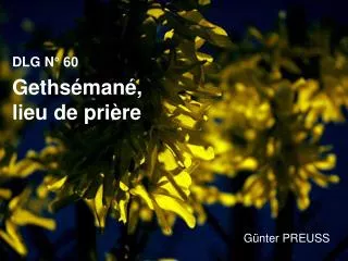 dlg n 60 geths man lieu de pri re