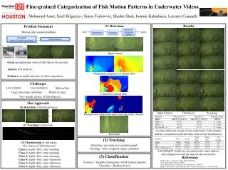 Fine-grained Categorization of Fish Motion Patterns in Underwater Videos