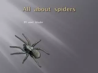 All about spiders