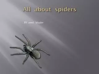 all about spiders