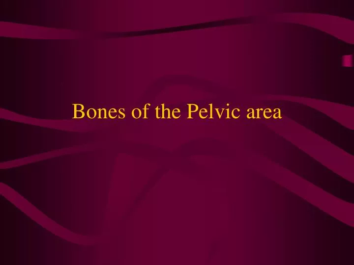 bones of the pelvic area
