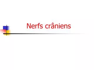 nerfs cr niens