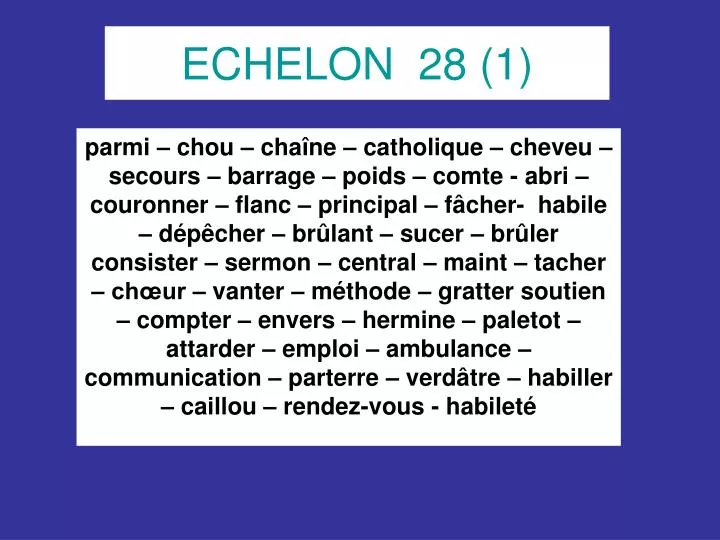 echelon 28 1