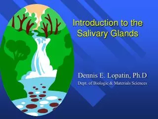 Introduction to the Salivary Glands