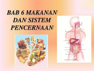 bab 6 makanan dan sistem pencernaan
