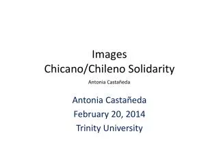 Images Chicano/ Chileno Solidarity