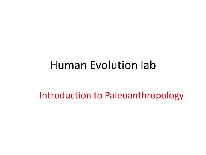 human evolution lab