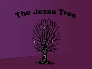 The Jesse Tree