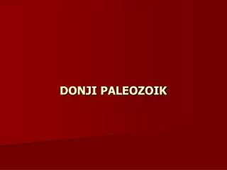 donji paleozoik