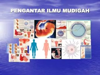 pengantar ilmu mudigah