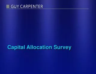 Capital Allocation Survey