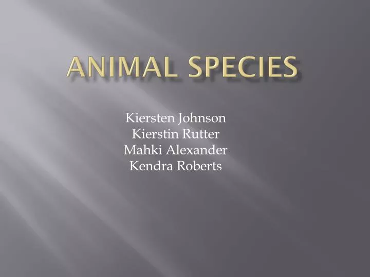 animal species