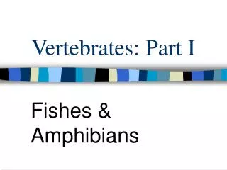 Vertebrates: Part I