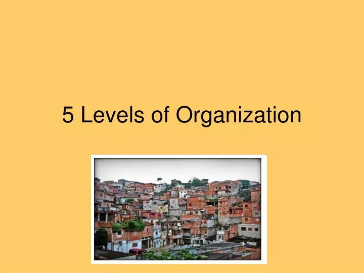 5 levels of organization