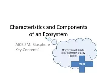 Characteristics and Components of an Ecosystem