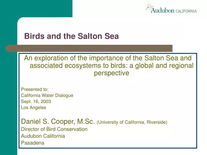 birds and the salton sea