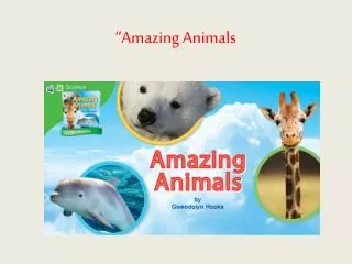 “Amazing Animals