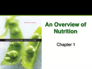 An Overview of Nutrition