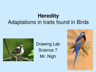 Heredity Adaptations in traits found in Birds