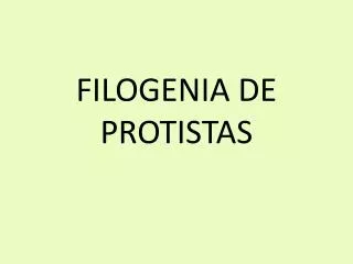 filogenia de protistas