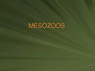 mesozoos