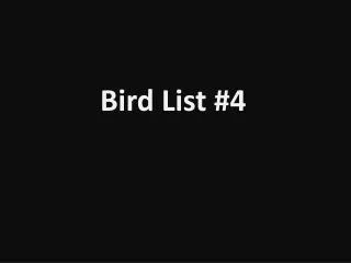 Bird List #4