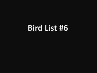 Bird List #6