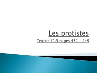 les protistes