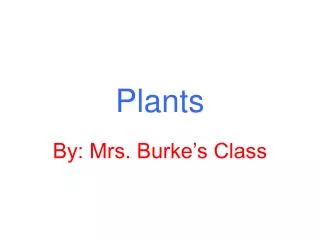 plants