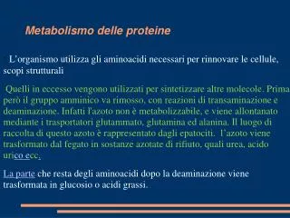 metabolismo delle proteine