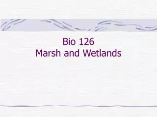 Bio 126 Marsh and Wetlands