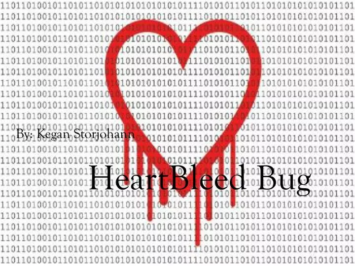 heartbleed bug
