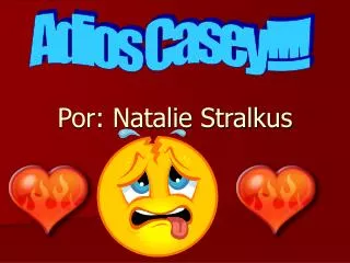 por natalie stralkus