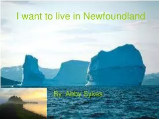 I want to live in Newfoundland