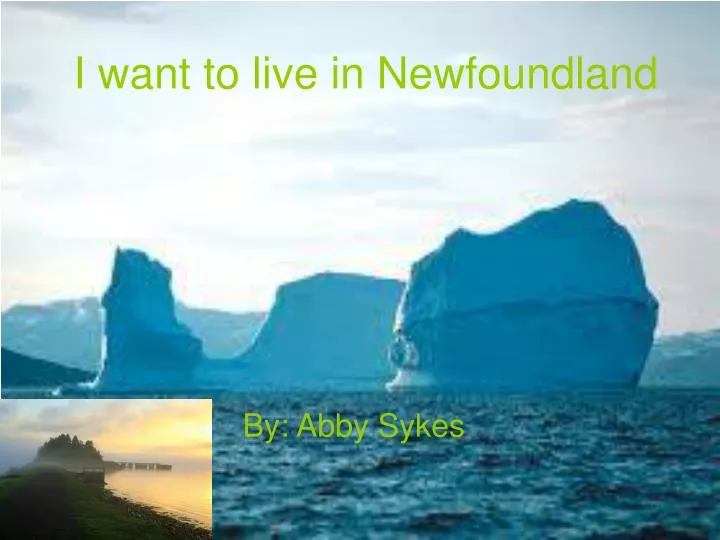 i want to live in newfoundland