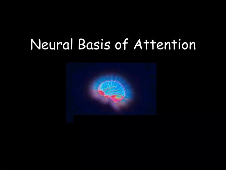 neural basis of attention
