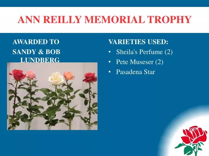 ann reilly memorial trophy