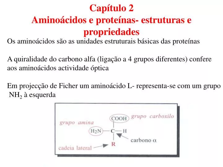 cap tulo 2 amino cidos e prote nas estruturas e propriedades