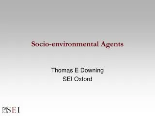 Socio-environmental Agents
