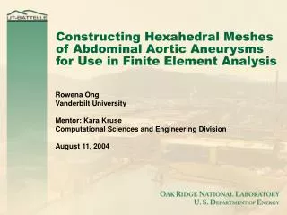 Constructing Hexahedral Meshes of Abdominal Aortic Aneurysms for Use in Finite Element Analysis