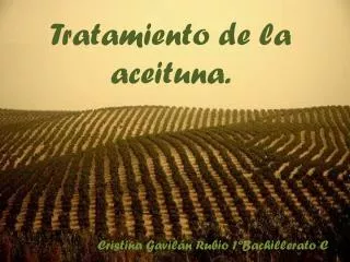 tratamiento de la aceituna