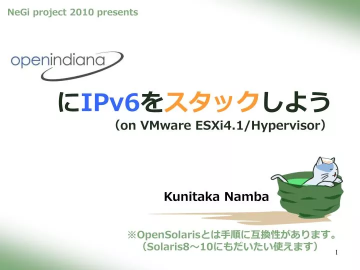 ipv6 on vmware esxi4 1 hypervisor