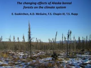 The changing effects of Alaska boreal forests on the climate system
