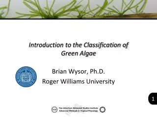 Introduction to the Classification of Green Algae