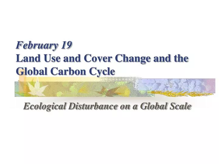 february 19 land use and cover change and the global carbon cycle