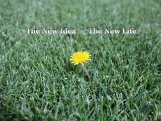 The New Idea = The New Life